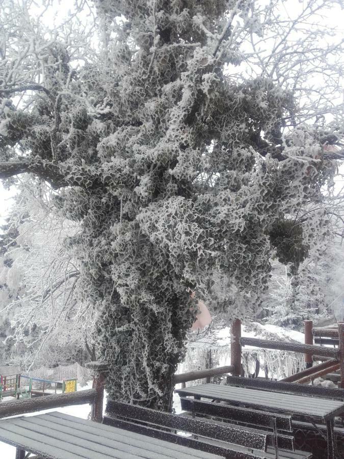 Chata Na Groniu Meszna ภายนอก รูปภาพ